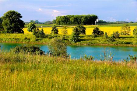 paysage avec prairie, rivière et champ de colza @Roben_david_pixabia libre de droit