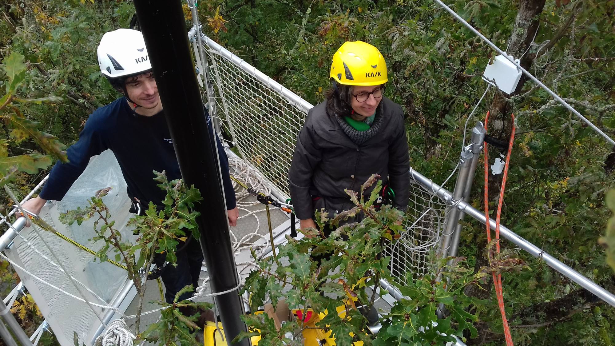 nacelle avec 2 personnes pour installer des capteurs dans la canopée @C. Couteau_UMR EFNO INRAE