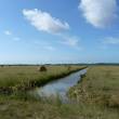 marais : prairies de fauche séparées par un canal @inrae.fr