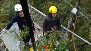 nacelle avec 2 personnes pour installer des capteurs dans la canopée @C. Couteau_UMR EFNO INRAE