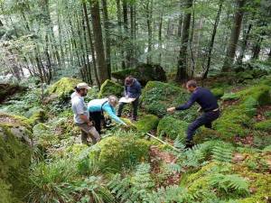 Mesures de bois mort. Cauterets, Parc National des Pyrénées © Pierre Lapenu