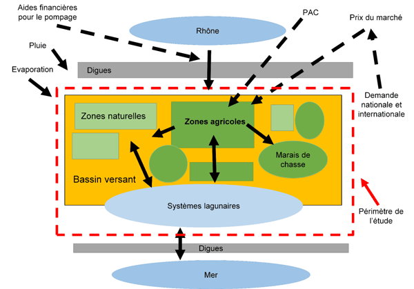 Schéma du système considéré pour l’étude avec les digues au Rhône et à la mer qui conditionnent les échanges d’eau douce et d’eau salée entre le bassin versant composé d’une matrice mêlant milieux agricoles, zones humides naturelles et marais de chasse, et les systèmes lagunaires au sud.